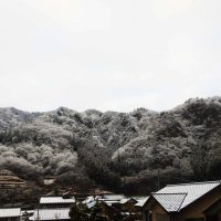 雪　ふる