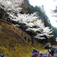 星尾諏訪神社　御柱祭　6年に一度